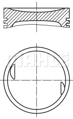 WILMINK GROUP Поршень WG1200612